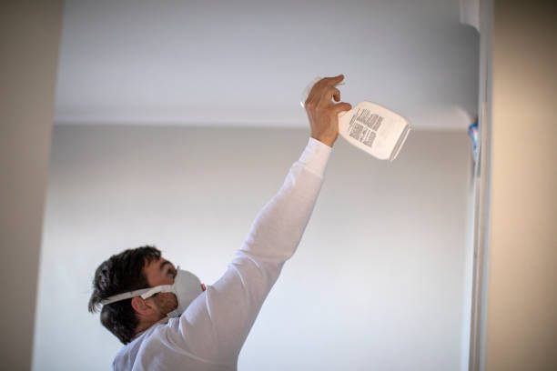 Best Same-Day Mold Removal  in Roessleville, NY