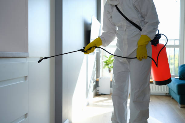 Best Mold Remediation Experts  in Roessleville, NY