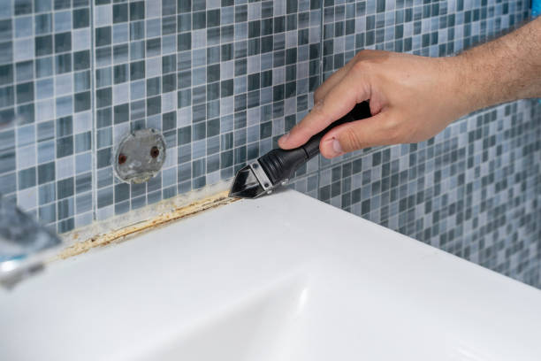 Mold Testing and Removal in Roessleville, NY